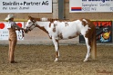 22-APHA HOTC_038